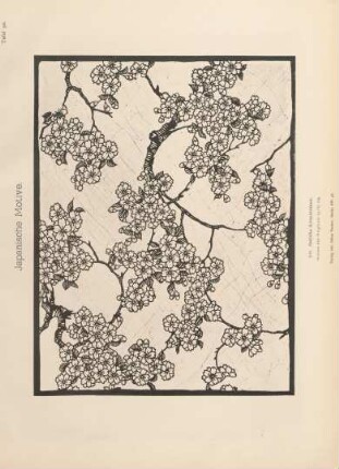 Tafel 90. 101. Gefüllte Kirschblüten