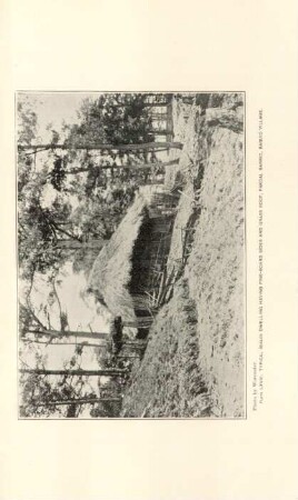 Plate LXVIII. Typical Ibaloi dwelling having pine-board sides and grass roof, Pakdal barrio, Baguio village