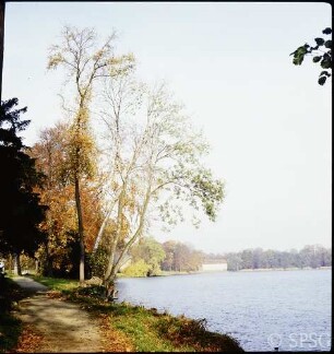 Potsdam, Neuer Garten, Blick über den Heiligen See auf das Grüne Haus.