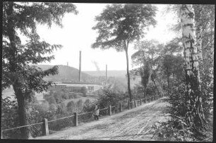 Colditz. Blick ins Muldental von der Rochlitzer Straße