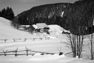 Hinterzarten: Bundesstraße 31; Schwarzwaldhof mit Landschaft