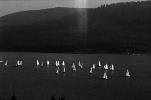 Segelregatta auf dem Schluchsee