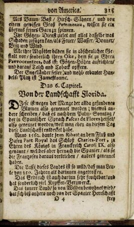 Das 6. Capitel. Von der Landschafft Florida.