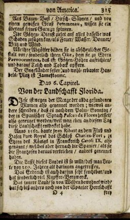 Das 6. Capitel. Von der Landschafft Florida.