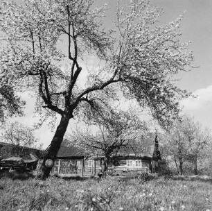 Spreewald. Historisches Wohnhaus