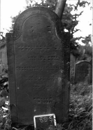 Grabstein 885 (Index: 100103725) Material: Sandstein Zustand: gut erhalten bis leicht angewittert Maße HxBxT: 139x68x8 cm Beschreibung: Stele, eingezogener Rundbogenabschluss, Schriftfeld mit Konvexbogenabschluss, durch umlaufende Rille abgeteilt, im Bogenfeld eingeritzte Levitenkanne Symbolik: Levitenkanne: Grabstein 885