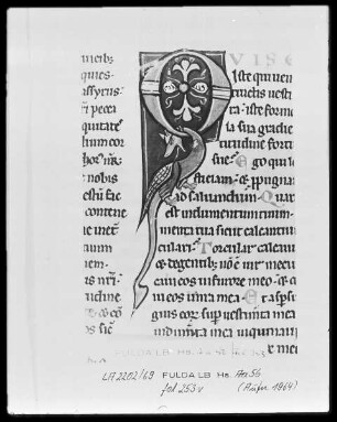 Vollbrevier — Initiale Q, Folio 253verso