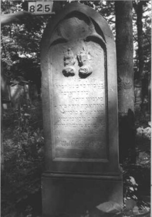Grabstein 825