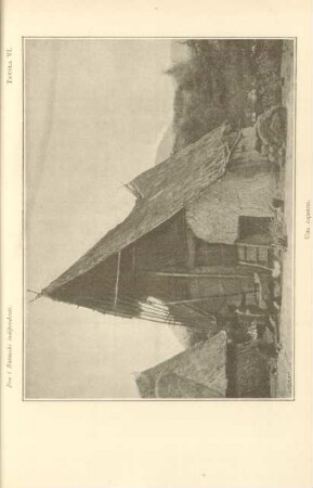 Tavola VI. Una capanna