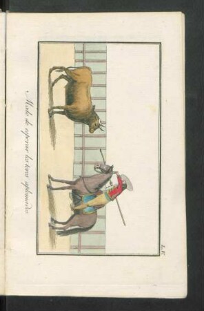 V. Modo de esperar los toros aplomados.