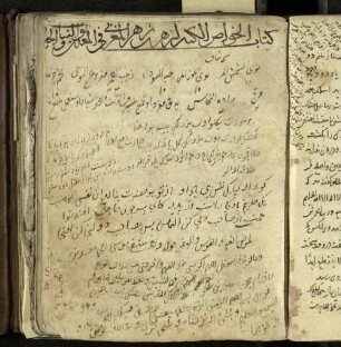 Abu 'l-'Ala' Zuhr ibn 'Abn al-Malik ibn Muhammad ibn Marwan ibn Zuhr al-Isbili: Kitab al-hawass al-kabir