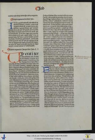 Argumentum in librum Job
