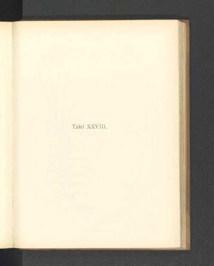 Tafel XXVIII