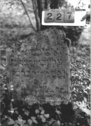Grabstein 227 (Index: 99799971) Material: Sandstein Zustand: verwittert, Bogen weitgehend abgebrochen Maße HxBxT: 77x54x10 cm Beschreibung: Stele, eingezogener Rundbogenabschluß, Bogen weitgehend abgebrochen, Schriftfeld eingetieft: Grabstein 227