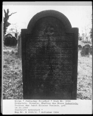 Grabstein von Brendle, Ehefrau des Moses Lohnstein, Tochtre des Jakob Elisier Turlach (gestorben 1747.11.14)
