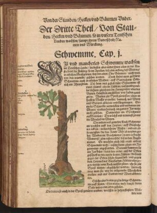 Der Dritte Theil, Von Stauden, Hecken und Bäumen, so in unseren Teutschen Landen wachsen, sampt ihrem Underscheid, Namen und Würckung