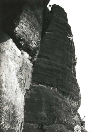 Sächsische Schweiz, Schmilka. Kleiner Falknerturm. Seilschaft Oswald Kunis in der Herrmannswand (VIIb [VIIIa])