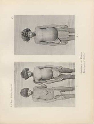 10. Mangianen von Mindoro = Manguianes of Mindoro
