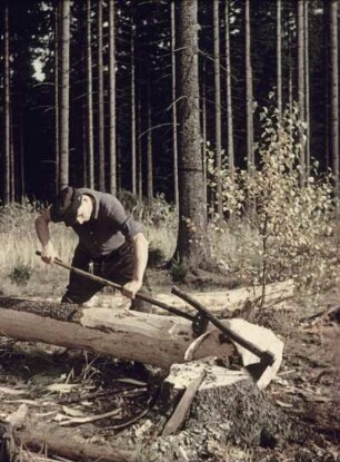 Thüringen. Thüringer Wald bei Ziegenrück, Waldarbeiter bearbeitet einen Baumstamm