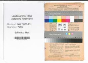 Entnazifizierung Max Schmalz, geb. 25.09.1900 (Angestellter)