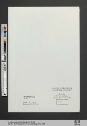 Wittkowsky, Annemarie
