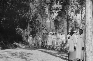 Schüler der Deutschen Schule von Lushoto : Schülergruppe der deutschen Schule von Lushoto auf einer Waldstraße