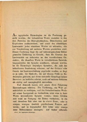 Zur ägyptischen Etymologie