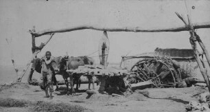 Schöpfrad (Sakia) am Blauen Nil [Reise nach dem Sudan, Band 1]