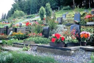 Neuer Friedhof, Teilansicht