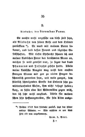 9. Niebuhr; der Strombus Fusus.