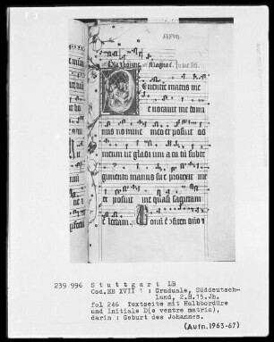 Graduale — Initiale D(e ventre matris), darin Geburt des Johannes, und Teilbordüre, Folio 246recto