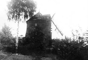 Reichenbach/O.L.. Holländermühle, Repro