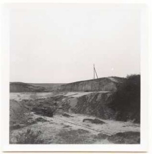 Grünflächenplanung Wirsitz: Landschaft