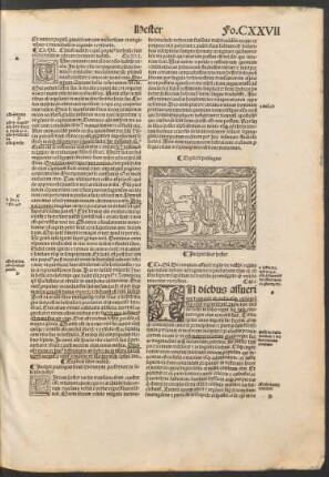 Incipit liber hester