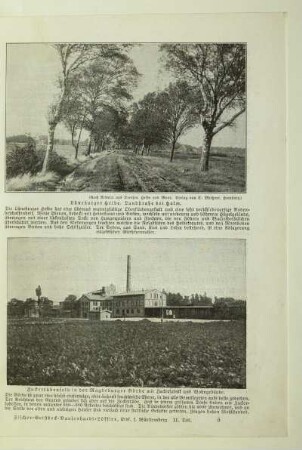 Zuckerrübenfeld in der Magdeburger Börde mit Zuckerfabrik und Wohngebäude