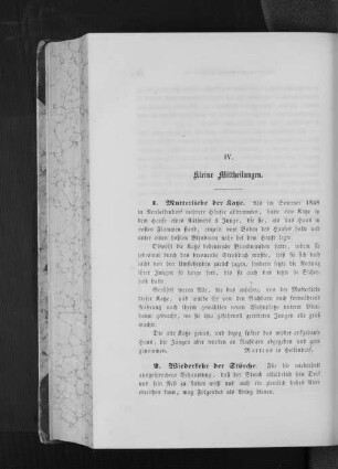 2. Wiederkehr der Störche.