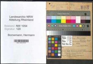 Entnazifizierung Hermann Bornemann , geb. 13.07.1897 (Rentmeister)