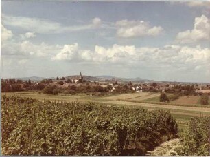 Biengen im Sommer