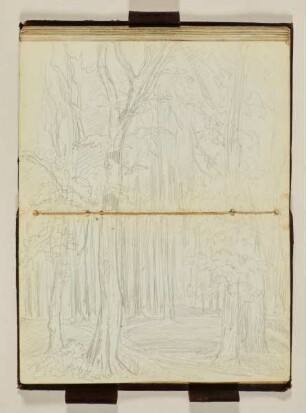 Waldstudie