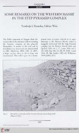 19: Some remarks on the western massif in the step pyramid complex