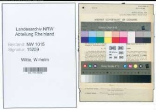 Entnazifizierung Wilhelm Witte , geb. 04.01.1905 (Stadt)