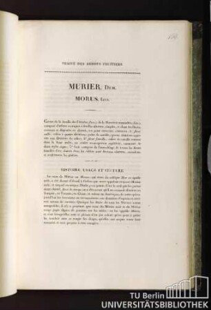 Murier. Duh. Morus. Lin.