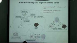 Anti- cancer therapy: Blazing the trail with melanoma