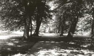Dittersbach (Dürrröhrsdorf-Dittersbach). Schloßpark Dittersbach