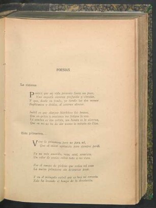 Poesías : La cisterna [y] Esta primavera...