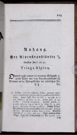 Anhang. Der Alpenstrandläufer. Tringa Alpina.