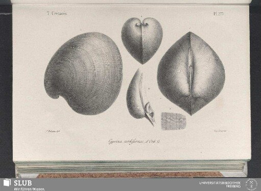 Pl. 273