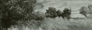 Wiesenstudie