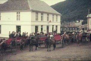 Reisefotos Norwegen. Kutschen in Nord-Norwegen, Lyngseidet (Troms)