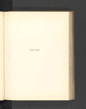 Tafel VIII.